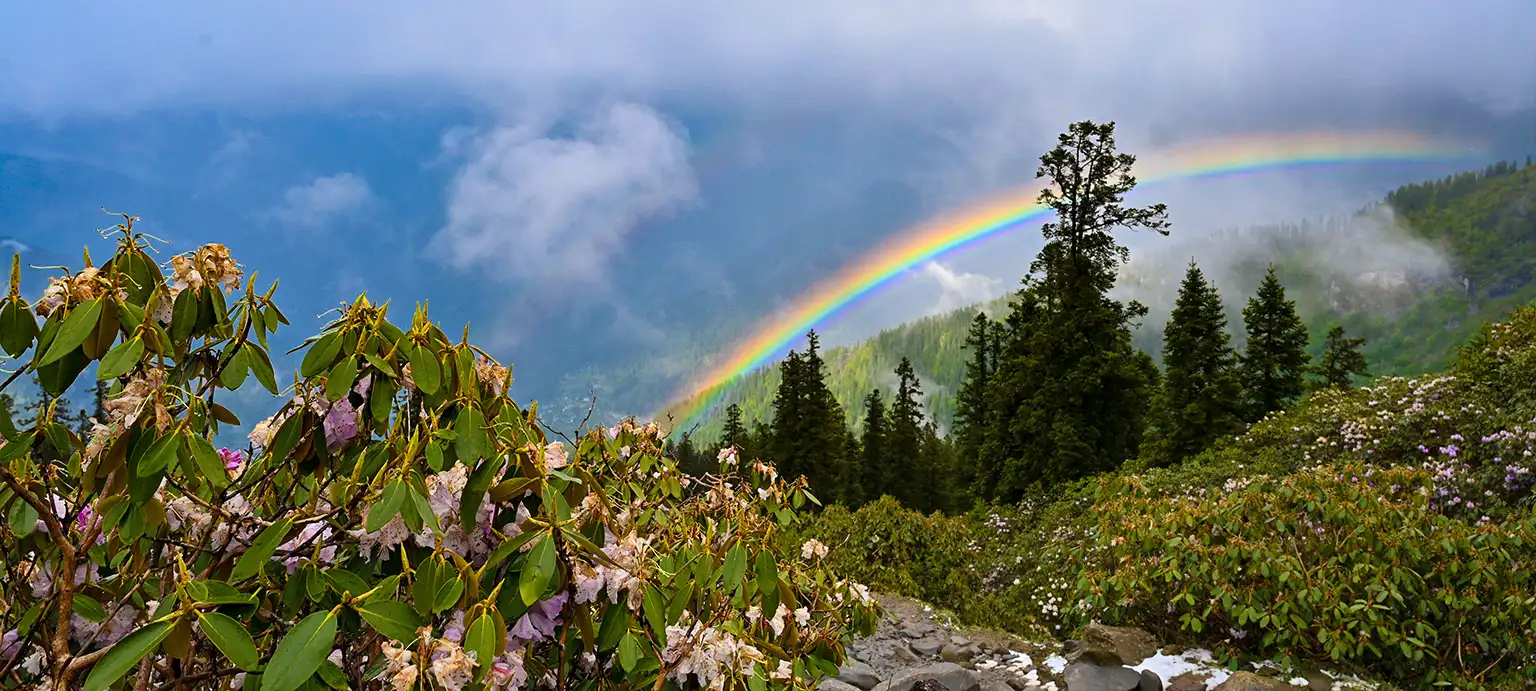 Sar Pass Trek